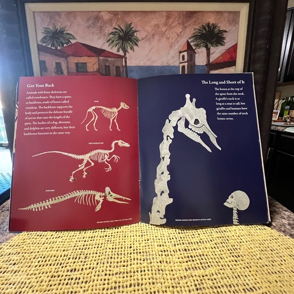 Bones By: Steve Jenkins. - Picture 4 of 7